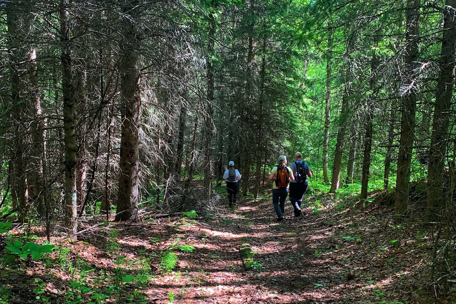 Eagle Point Provincial Park