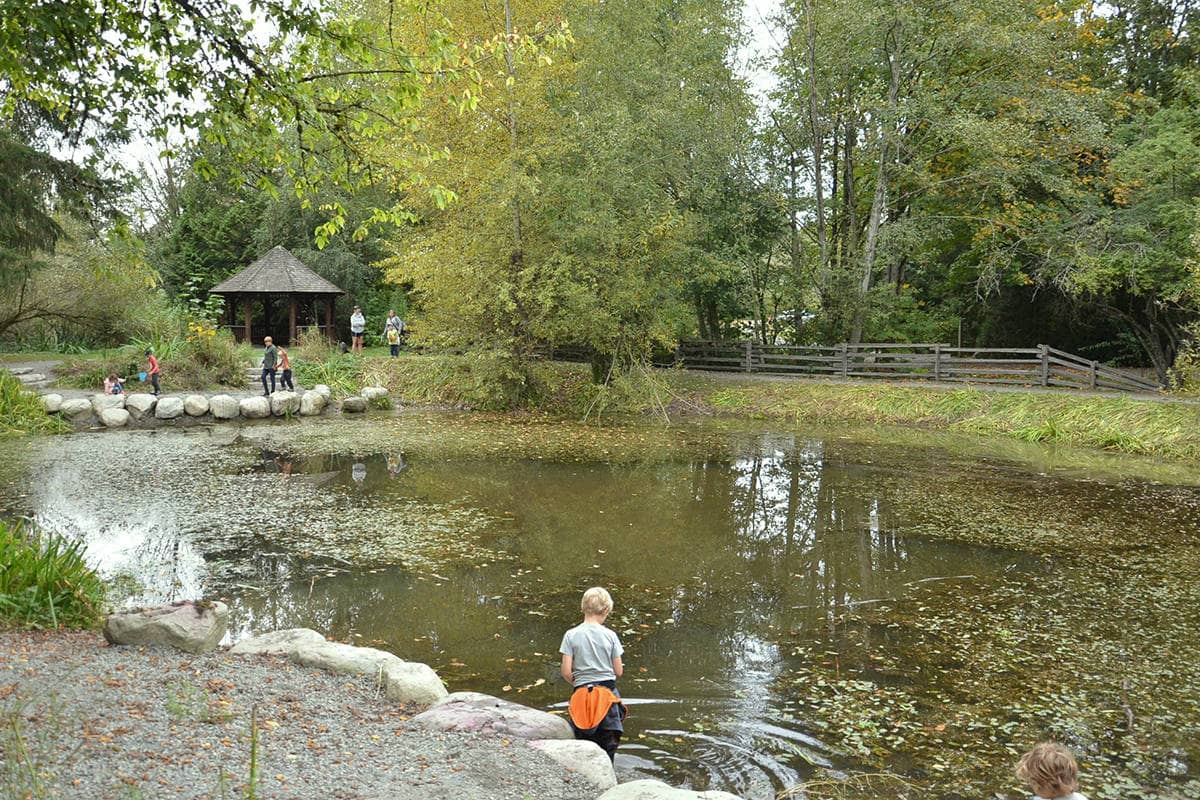 Aspenview Pond and Park