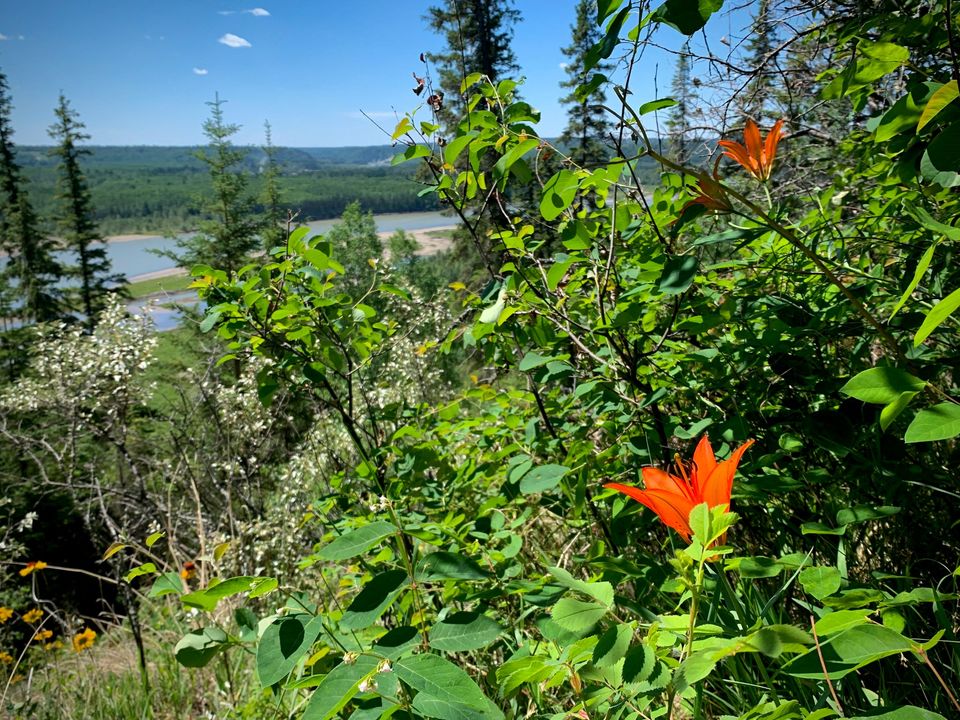 Eagle Point Guided Walks