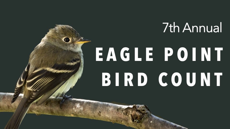 7th Annual Eagle Point Bird Count
