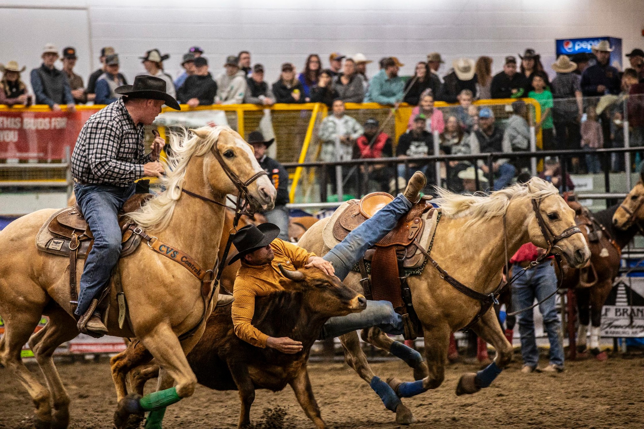 Drayton Valley Pro Rodeo - 10th Anniversary