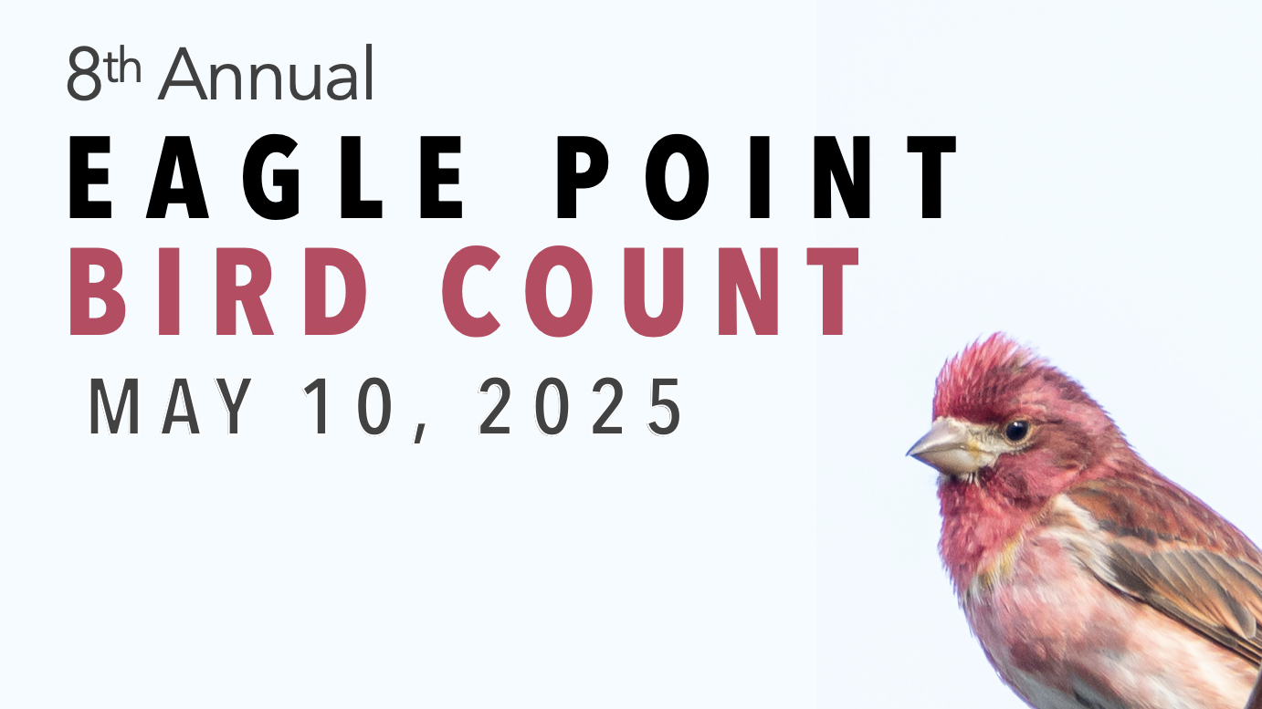 Eagle Point Bird Count