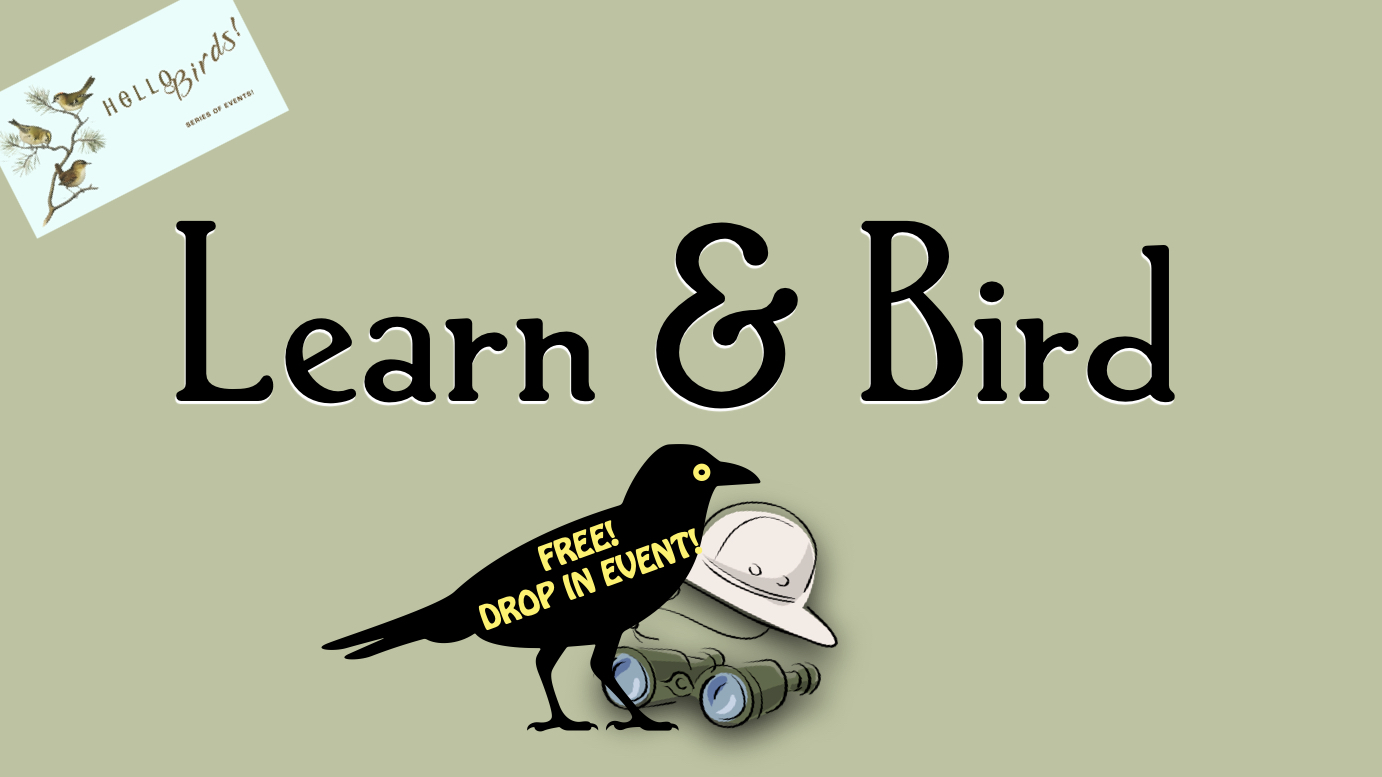 Learn & Bird with Eagle Point-Blue Rapids Parks Council Learn & Bird with Eagle Point-Blue Rapids Parks Council